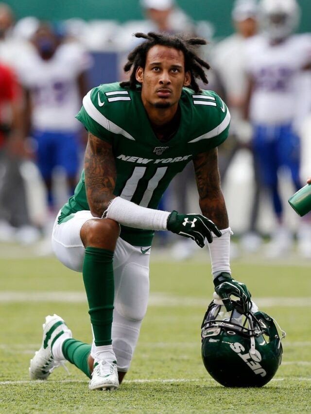 Robby Anderson of the Panthers was dismissed from the game for arguing with the coaches.